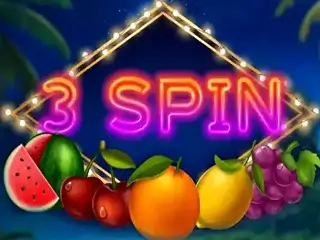 3 Spin